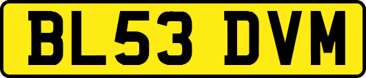 BL53DVM