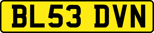 BL53DVN