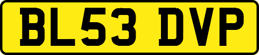 BL53DVP