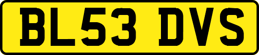 BL53DVS