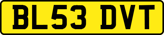 BL53DVT