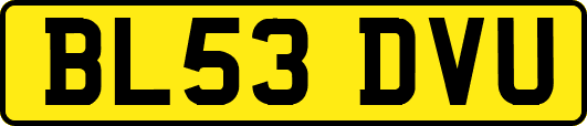 BL53DVU