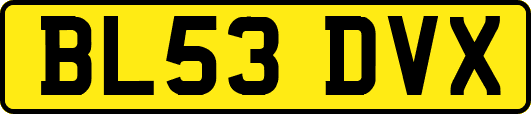 BL53DVX