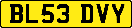 BL53DVY
