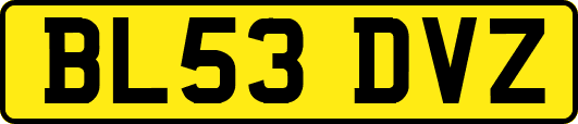 BL53DVZ