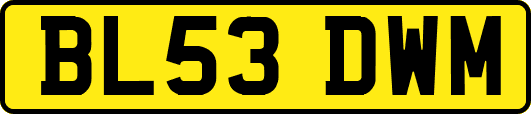 BL53DWM