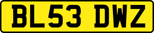 BL53DWZ