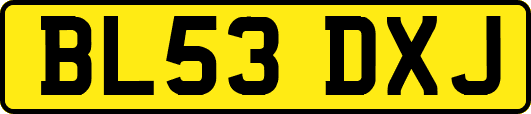 BL53DXJ