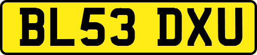 BL53DXU