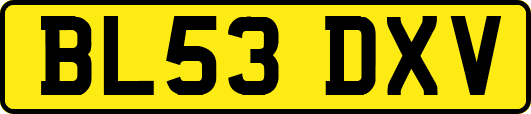 BL53DXV