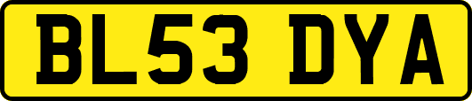 BL53DYA
