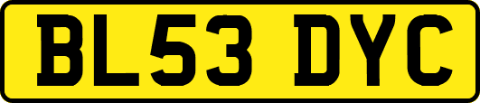 BL53DYC