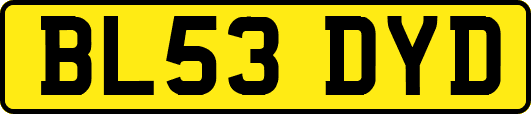 BL53DYD