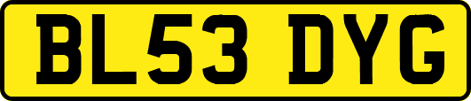 BL53DYG