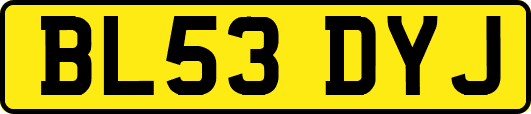 BL53DYJ