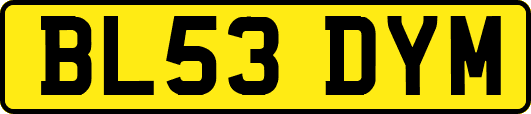 BL53DYM