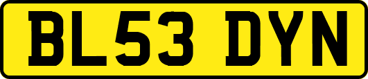 BL53DYN