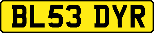 BL53DYR