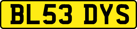 BL53DYS