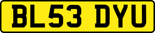 BL53DYU