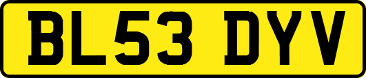 BL53DYV