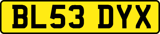 BL53DYX