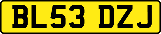 BL53DZJ