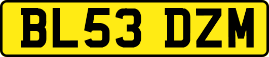 BL53DZM