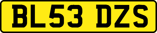 BL53DZS