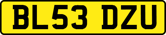 BL53DZU