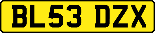 BL53DZX