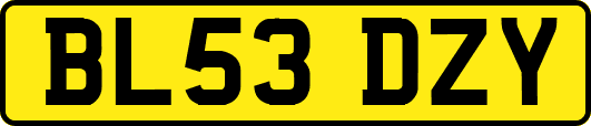 BL53DZY