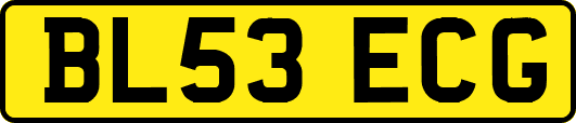 BL53ECG