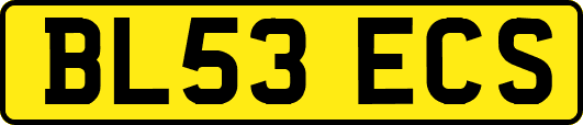 BL53ECS