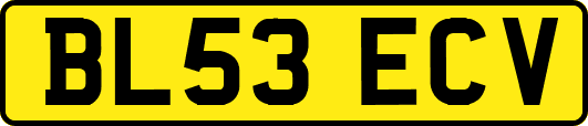 BL53ECV
