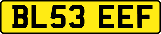 BL53EEF