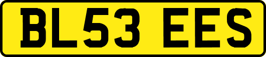 BL53EES