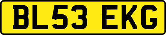 BL53EKG