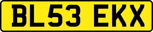 BL53EKX