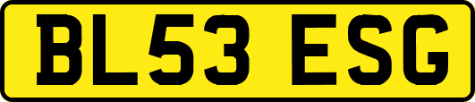 BL53ESG