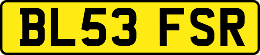 BL53FSR