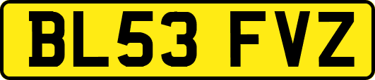 BL53FVZ