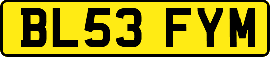 BL53FYM