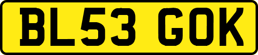 BL53GOK