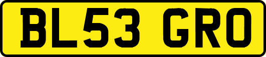 BL53GRO
