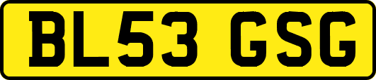 BL53GSG