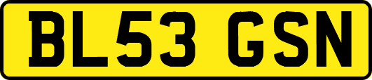 BL53GSN