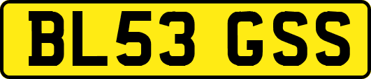 BL53GSS