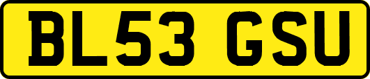 BL53GSU