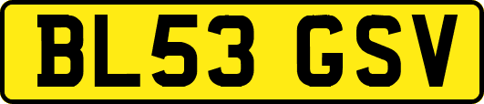 BL53GSV